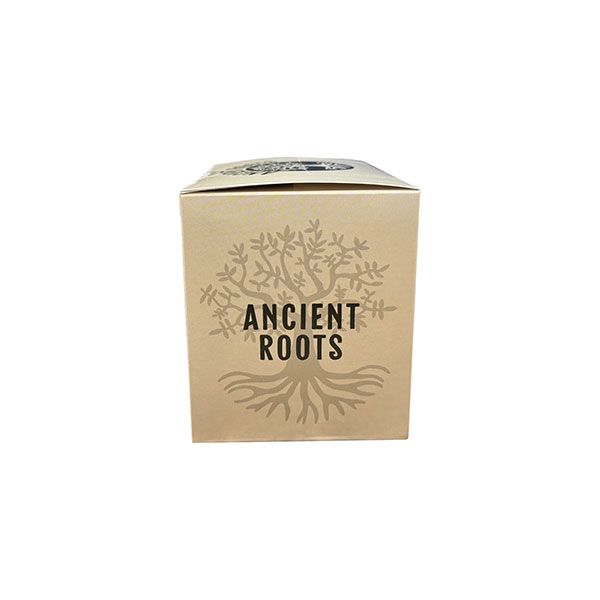  Ancient Roots Single Serve Mushroom Coffee, Made With Chaga And Lion's Mane, 100% Arabica, Medium Roast, (French Roast) (12 Count)