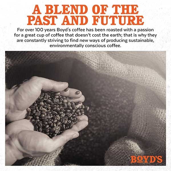  Boyd's French No. 6 Coffee Single Serve 12 Count
